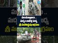 Sri Maha Vishnu Idol found amidst filth in Tirupati #brnaidu #chandrababu #ttdboard #sakshitv  - 01:28 min - News - Video