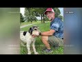 Dog missing 2 months found alive in Missouri cave  - 02:18 min - News - Video