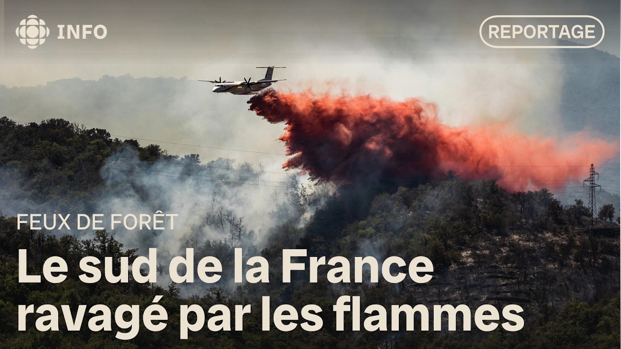 Feux de forêt en Europe : Un incendie historique en Espagne