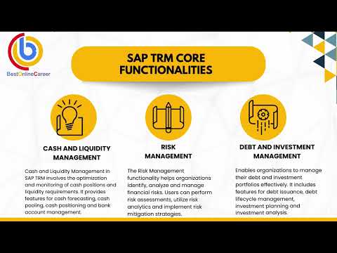 SAP TRM Online Training Video