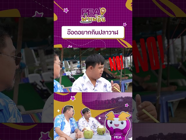 อ๊อดอยากกินปลาวาฬ #PEAพาเพลิน #บริษัทฮาไม่จำกัด #อ๊อดปากดี #นุ้ยเชิญยิ้ม #pattayacity
