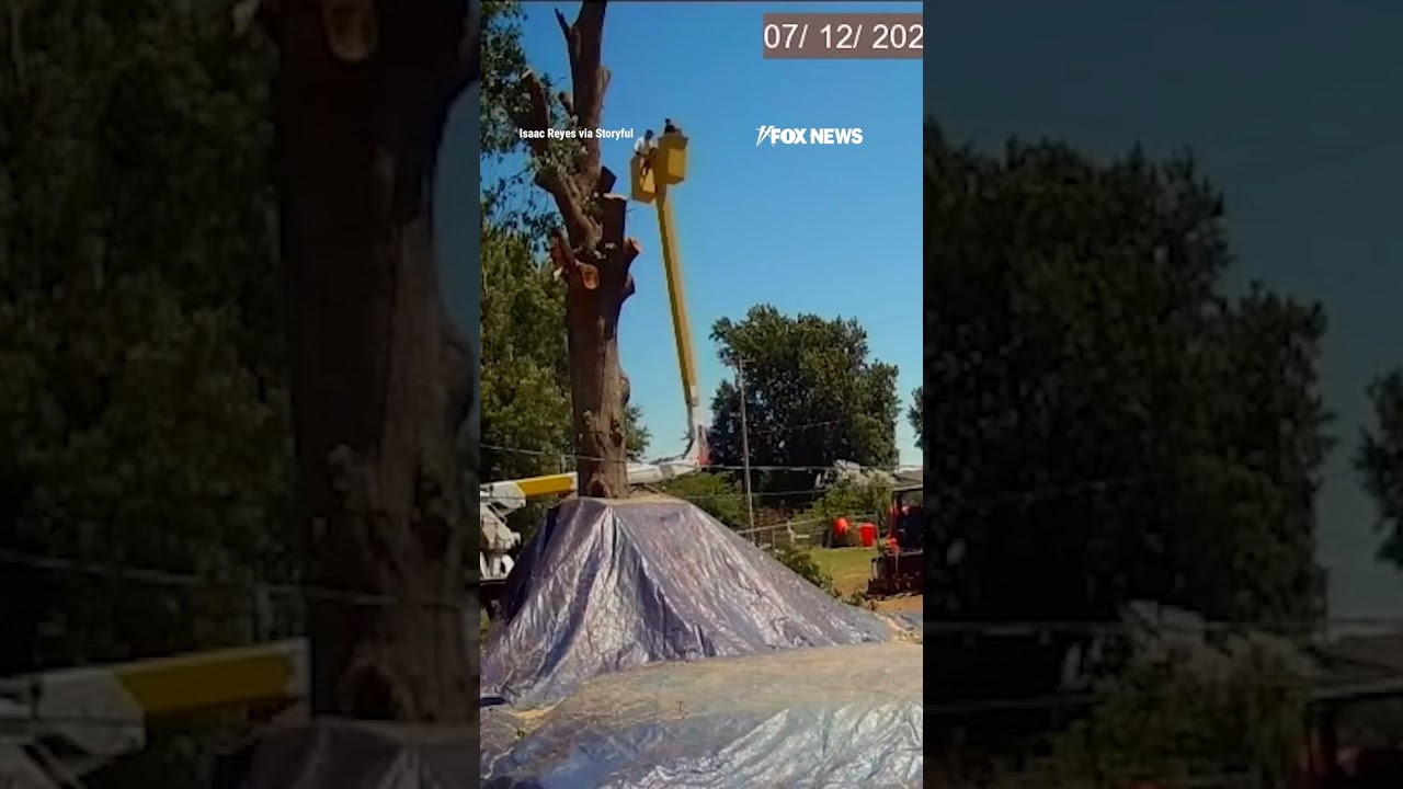 Landscapers survive 45-FOOT PLUNGE after cable SNAPS #shorts