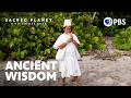 Can Colombia’s Ancient Arhuaco Wisdom Help Save the Environment? | Sacred Planet