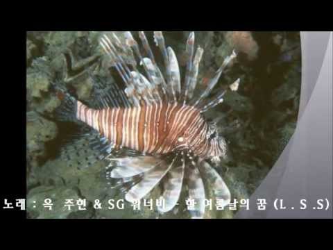 옥 주현 & SG 워너비 - 한 여름날에 꿈