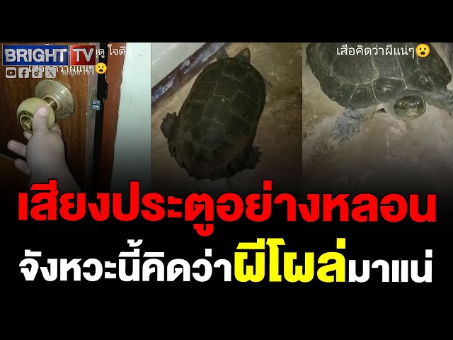 สาวสุดหลอน! ได้ยินเสียงขูดกับประตูตอนตี 1 ก่อนตัดสินใจโผล่ไปดู