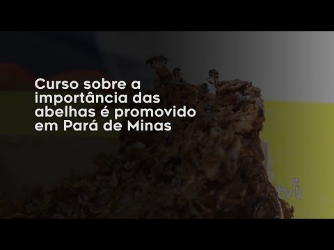 Vídeo: Curso sobre a importância das abelhas é promovido em Pará de Minas