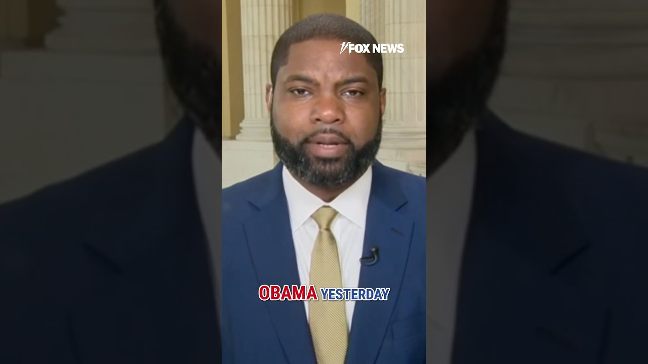 This is the 'bottom line' on the Russia hoax allegations: Rep. Donalds #foxnews #news #shorts