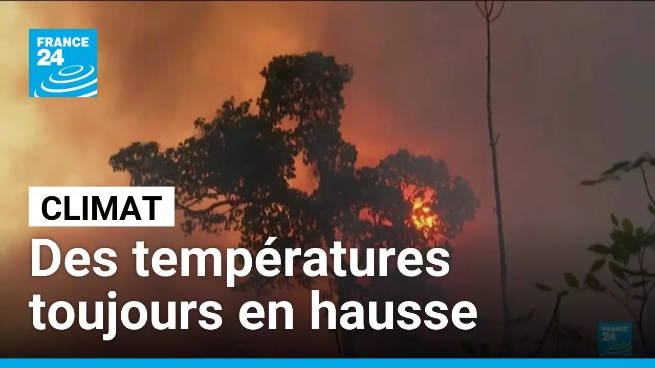 L'année 2025, encore l'une des plus chaudes jamais mesurées... et 2026 ? • FRANCE 24