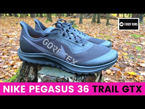 pegasus 36 gore tex review