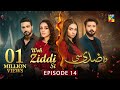 Woh Ziddi Si - Episode 14 - 25th October 2024 [ Aina Asif & Ali Abbas ] - HUM TV