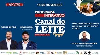 Canal do Leite Interativo - 18/11/2025