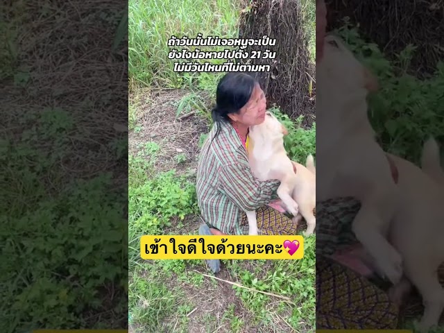 เข้าใจถึงความรู้สึกดีใจด้วยนะคะแล้วก็ร้องไห้ตามด้วยนึกถึงลูกตัวเองถ้าหายไปเราจะเป็นยังไง🥹‼️#หมาหาย