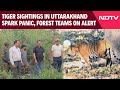 Tiger Sightings Spark Panic In Uttarakhand’s Upper Kosi Block