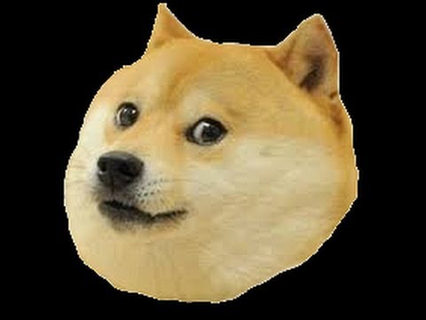 Doge: Video Gallery | Know Your Meme