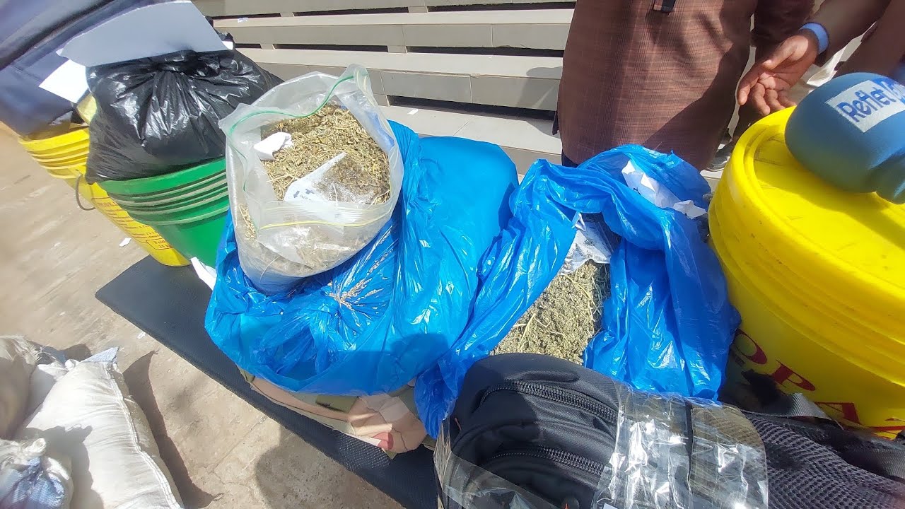 Kaloum : les services spéciaux mettent main sur plus de 773 Kg de chanvre indien et 16 Kg de Kush