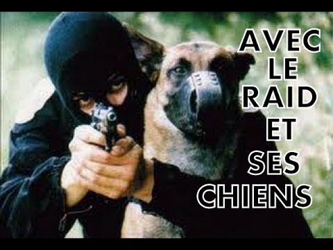 Video Du Policier