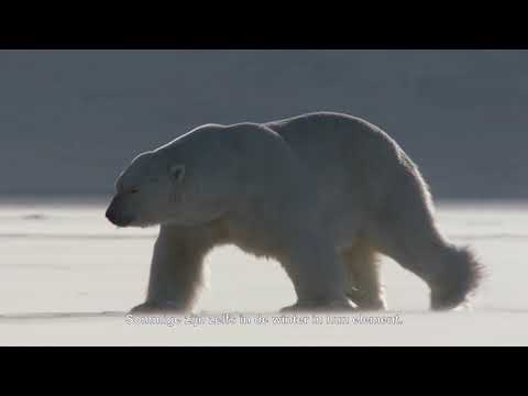 Nature on Tour: Land of the Far North'