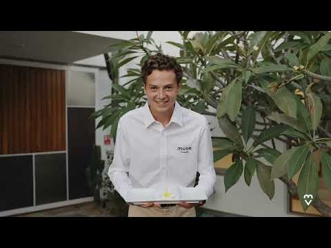 Property video