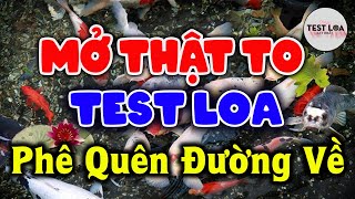 MỞ TO HẾT CỠ NHẠC TEST LOA 8D CỰC CHUẨN, Nhạc Disco Remix BASS CĂNG CỰC ĐỈNH Nghe Phê Quên Đường Về
