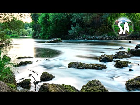 Sundanese Song Instrumental in the Day (Brain Fatigue Therapy)