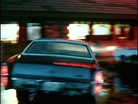 License to Drive'