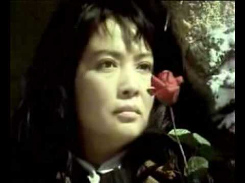 电影《泪痕》主题歌《心中的玫瑰》/李谷一