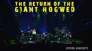 The Return of the Giant Hogweed