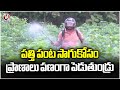 Farmers Getting Health Issues Due To Spraying Of Pesticides To Cotton Crops | V6 News