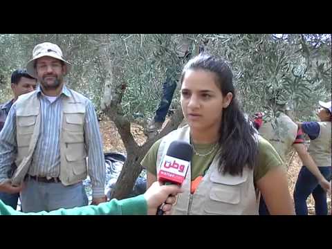 "صوتنا فلسطين" تطلق حملة "الأرض لنا" لمساندة المزارعين
