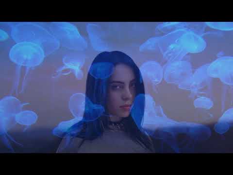 Billie Eilish - Ocean Eyes (Stonehead Remix) [Liquid Drum and Bass]