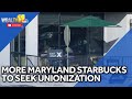 Starbucks baristas strike as more stores poised to unionize