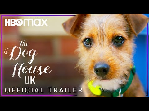 The Dog House'