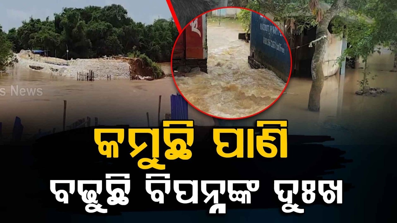Jajpur Flood Update: Baitarani Water Level Recedes But Misery Continues for Villages | Argus News