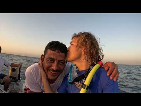 Nadar con delfines en libertad