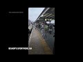 Video shows a swan briefly holding up commuters at a train station near London  - 00:22 min - News - Video