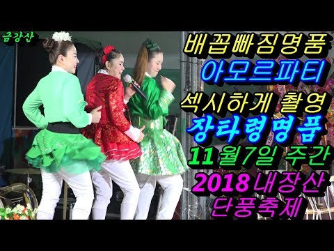 💗버드리 배꼽빠짐웃음대박명품💗11월7일 주간 2018 내장산 단풍축제 초청 공연