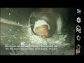 First video shows trapped tunnel workers in India  - 01:02 min - News - Video