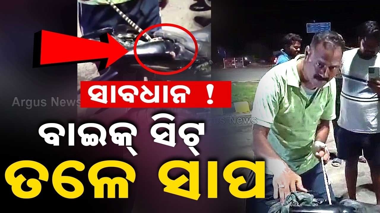 Rare Venomous Snake Found Under Bike Seat In Subarnapur; Narrow Escape For Rider | Argus News