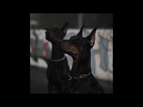 [FREE] CAPTAIN ROSHI x PLK x ZKR PIANO TYPE BEAT (prod. by VIQ)