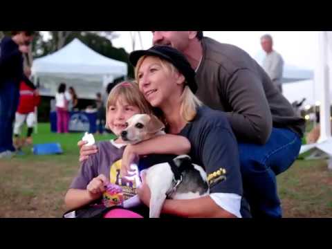 Remember Me Thursday is a worldwide social media awareness day created by President and CEO of Helen Woodward Animal Center, Mike Arms. Mike Arms wanted to create a day that would unite people all around the world, in one united voice, to remember the orphan pets that didn't get a second chance, but shine a light on orphan pets who need homes right now. Visit our site to learn how you can be an advocate for adoptable pets and pet adoption: www.remembermethursday.org Remember Me Thursday is a worldwide social media awareness day created by President and CEO of Helen Woodward Animal Center, Mike Arms. Mike Arms wanted to create a day that would unite people all around the world, in one united voice, to remember the orphan pets that didn't get a second chance, but shine a light on orphan pets who need homes right now. Visit our site to learn how you can be an advocate for adoptable pets and pet adoption: www.remembermethursday.org