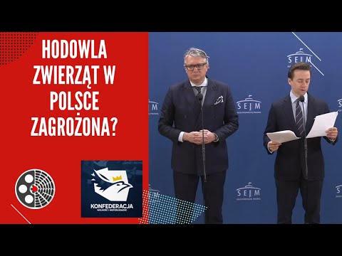 [Konfederacja]: Pryszczyca w Niemczech! Hodowla zwierząt w Polsce zagrożona?
