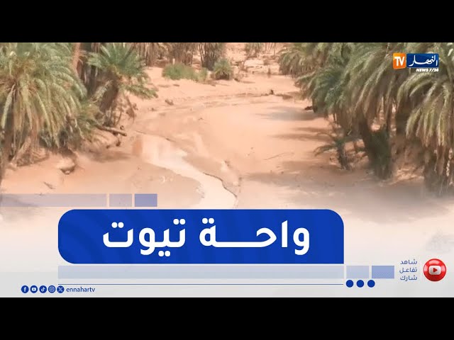 النعامة: واحة تيوت..    اين يتربع سحر الطبيعة على مناظر خيالية