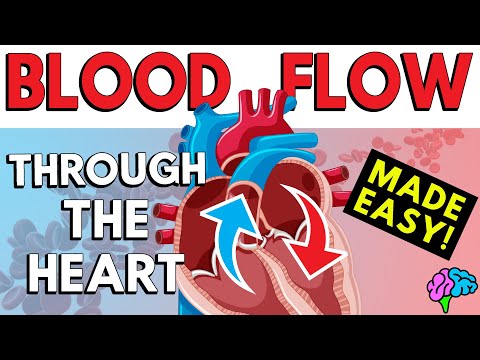 Upload mp3 to YouTube and audio cutter for Blood Flow Through the Heart (Made Easy in 5 Minutes!) download from Youtube