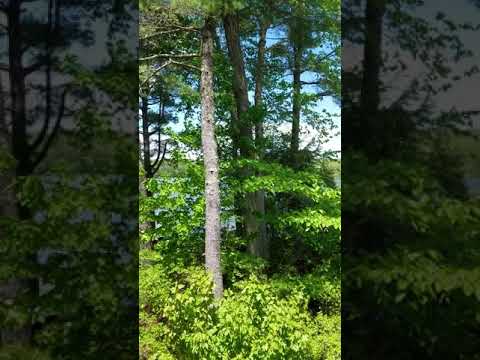 Video der Unterkunft