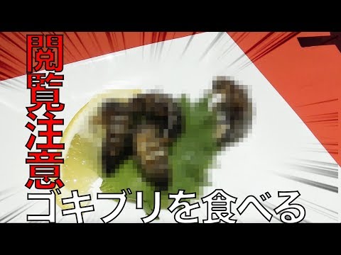 ゴキブリ食べてみた【閲覧注意】