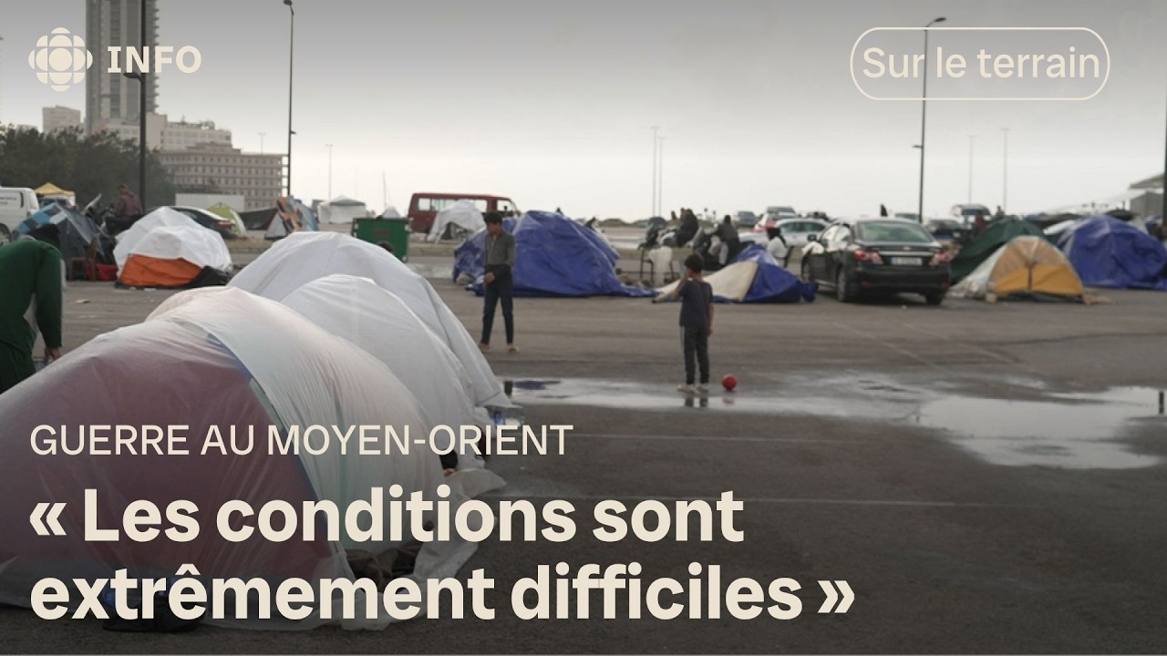 Guerre au Moyen-Orient : plus de 800 000 déplacés au Liban | D'abord l'info