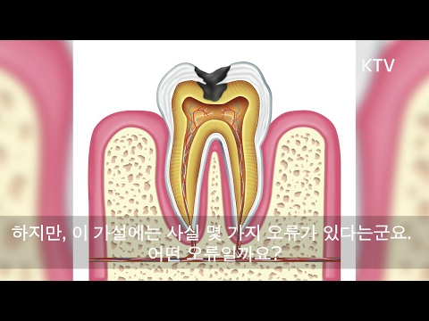 이만 잘 닦으면 충치가 없을까? 아무도 몰랐던 진짜 충치 예방법