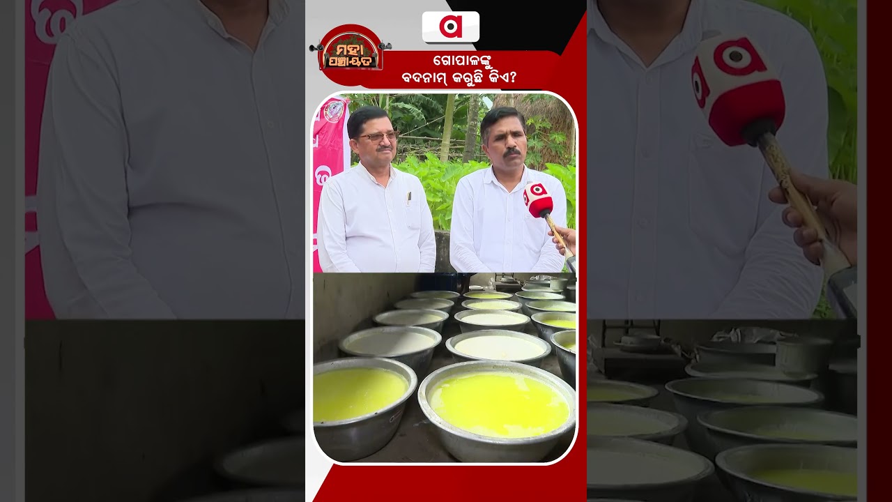 ଗୋପାଳଙ୍କୁ ବଦନାମ୍ କରୁଛି କିଏ ? | Mahapanchayat | Argus Reels | Paneer | Chhena | Dairy Farmers