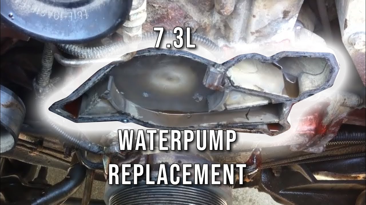 Ford 7.3l water pump replacement #8