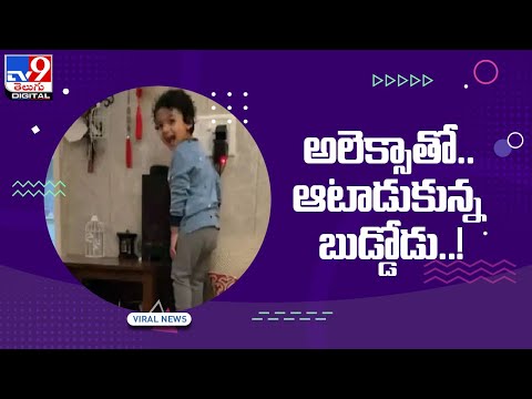 Toddler asks Alexa to play his favourite song, his reactions are hilarious, viral video Toddler asks Alexa to play his favourite song, his reactions are hilarious, viral video